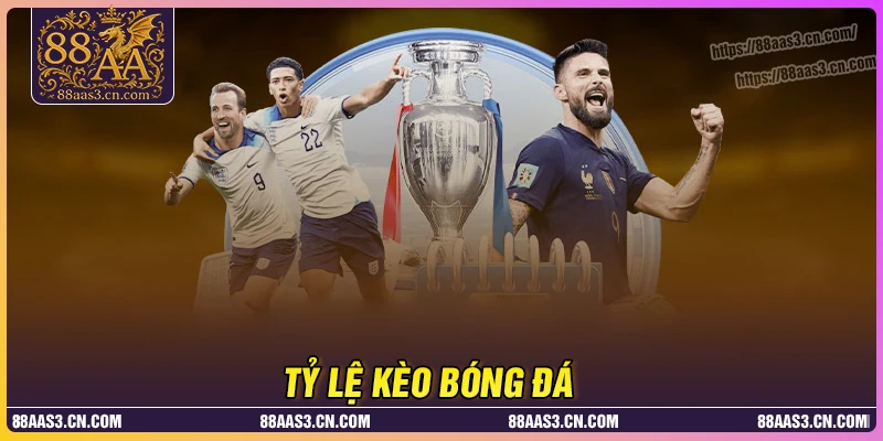 Tỷ lệ kèo bóng đá - Xem và đặt cược dễ hiểu chi tiết
